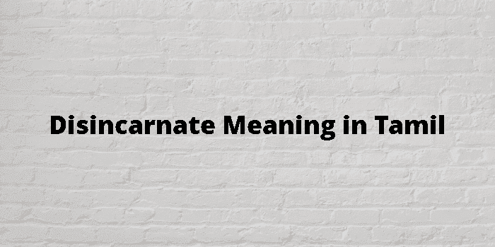 disincarnate