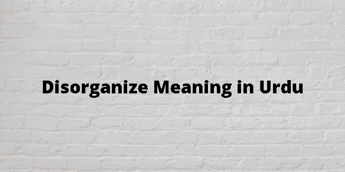 disorganize