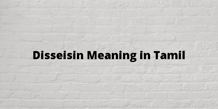 disseisin