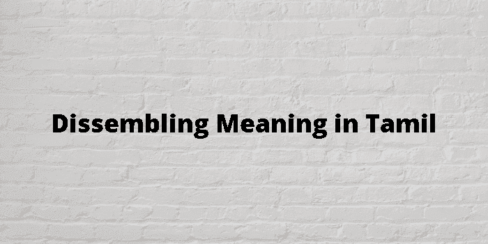 dissembling