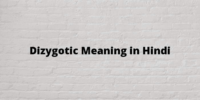 dizygotic