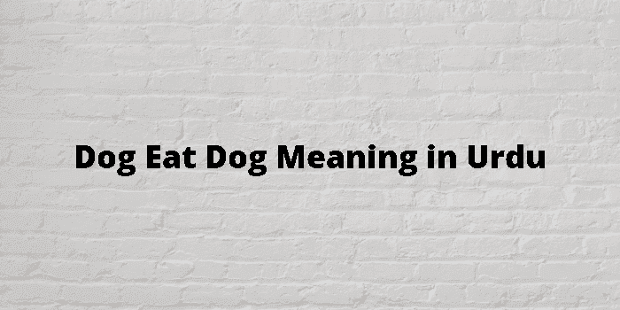 dog eat dog