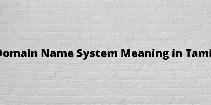 domain name system