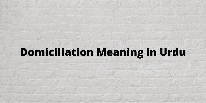 domiciliation