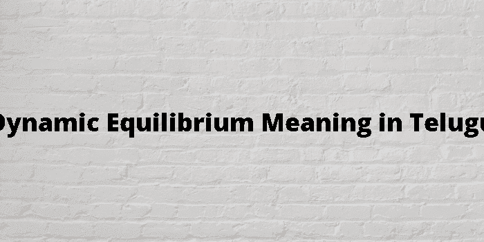 dynamic equilibrium