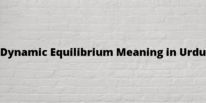 dynamic equilibrium