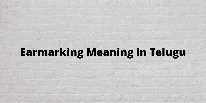 earmarking