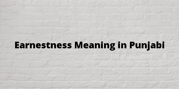 earnestness