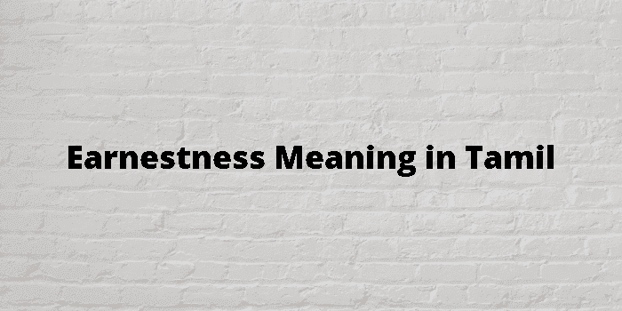 earnestness