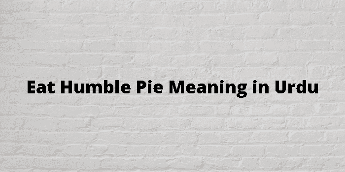 eat humble pie