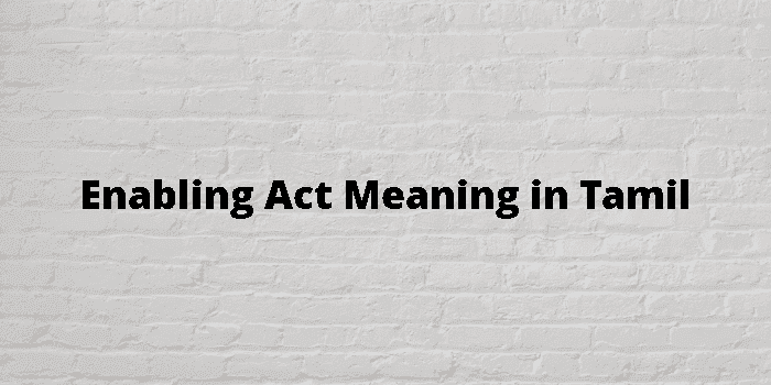 enabling act