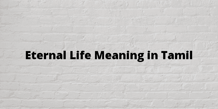 eternal life