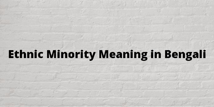 ethnic minority