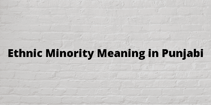 ethnic minority