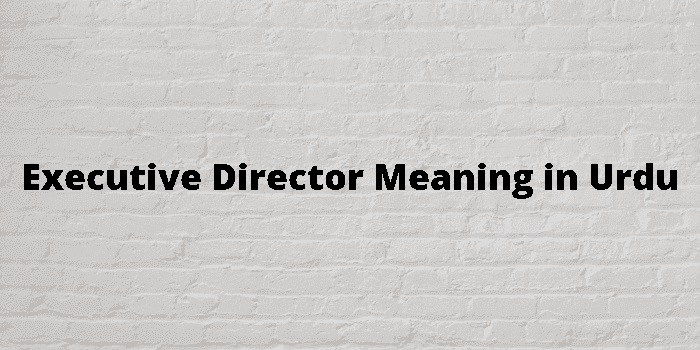 executive director