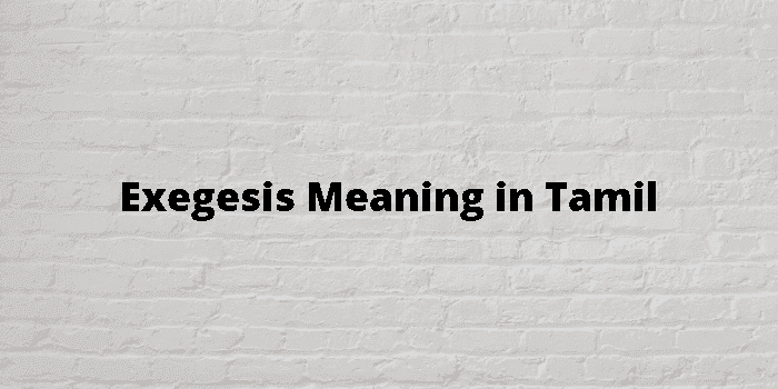 exegesis