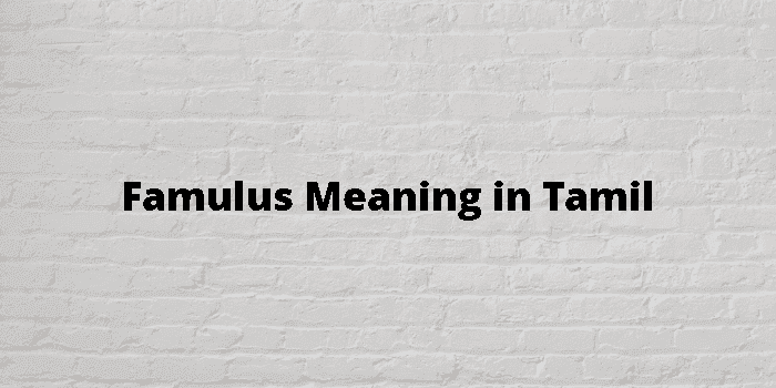 famulus