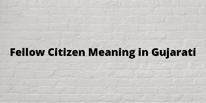 fellow citizen