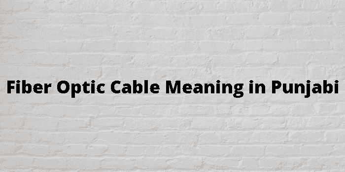 fiber optic cable