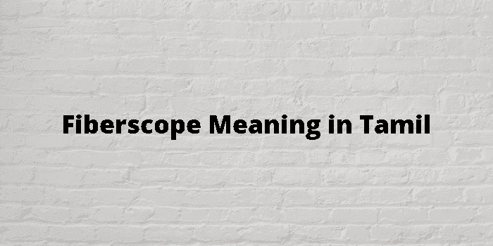 fiberscope