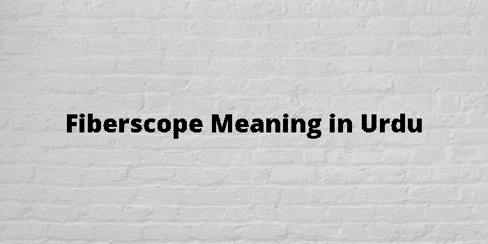 fiberscope