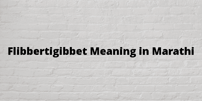 flibbertigibbet