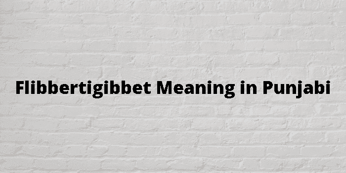 flibbertigibbet