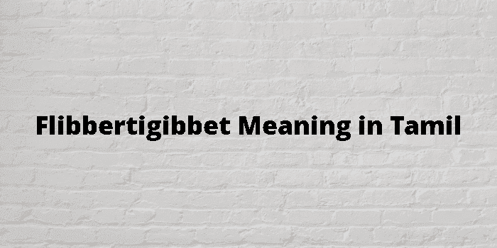 flibbertigibbet