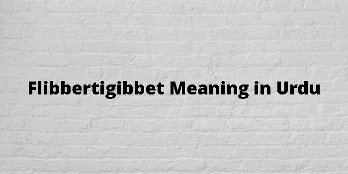 flibbertigibbet