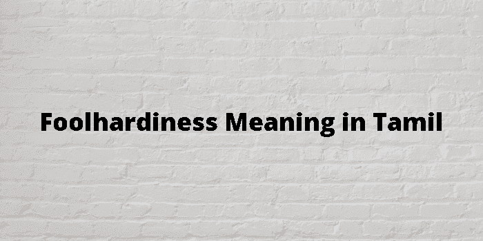 foolhardiness