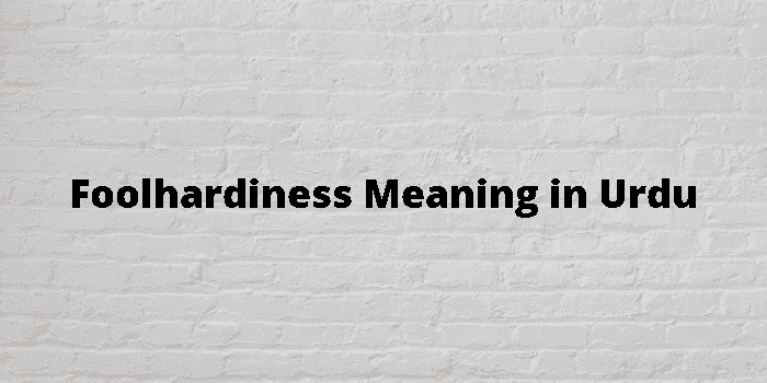 foolhardiness