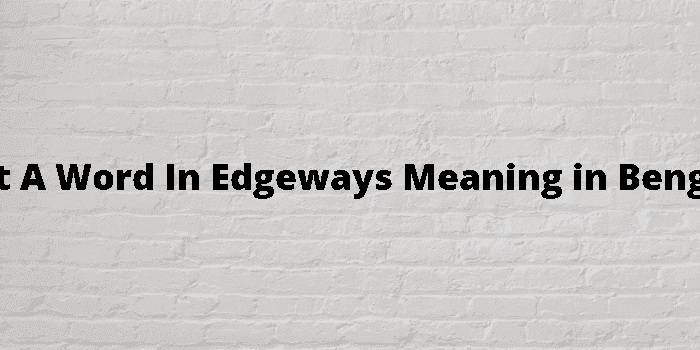 get a word in edgeways