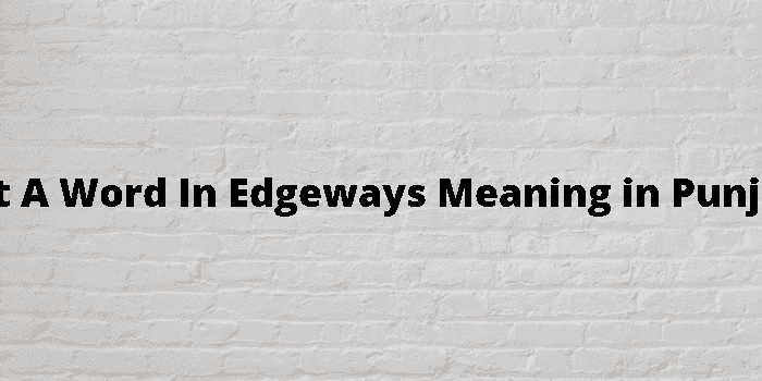 get a word in edgeways