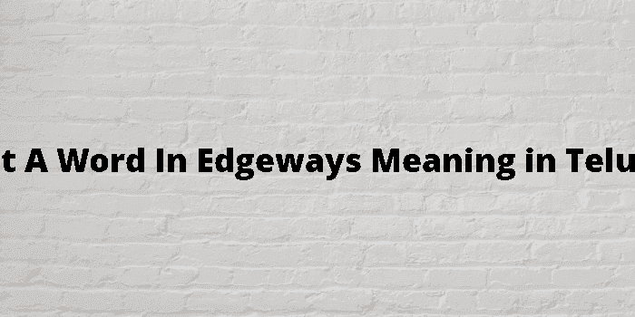 get a word in edgeways