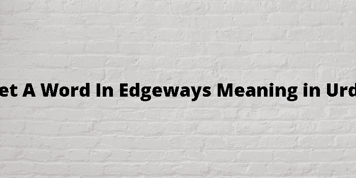 get a word in edgeways