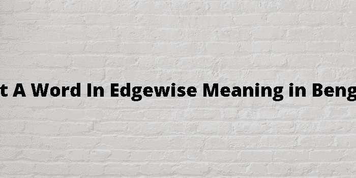 get a word in edgewise