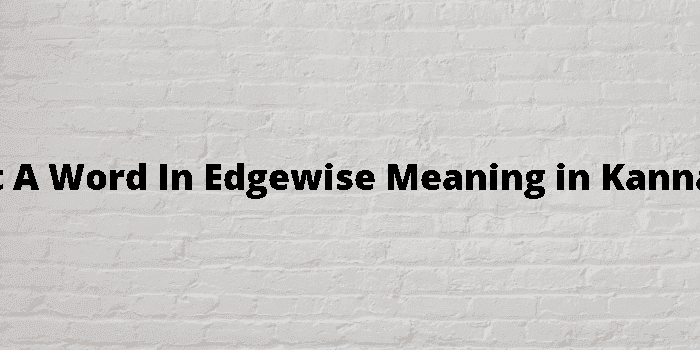 get a word in edgewise