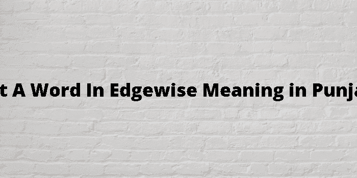 get a word in edgewise