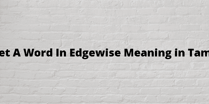 get a word in edgewise