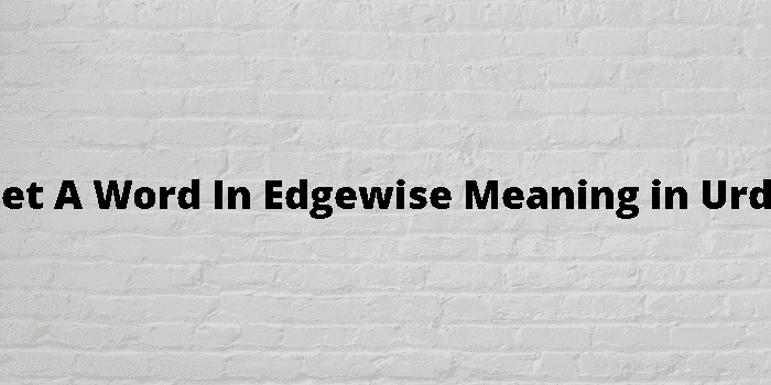 get a word in edgewise