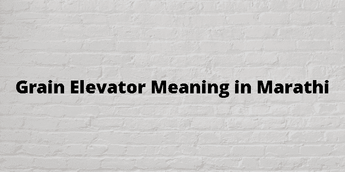 grain-elevator-meaning-in-marathi