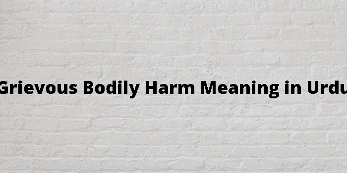 grievous bodily harm