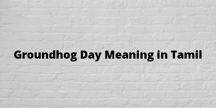 Groundhog Day Meaning In Tamil - தமிழ் அர்த்தம்