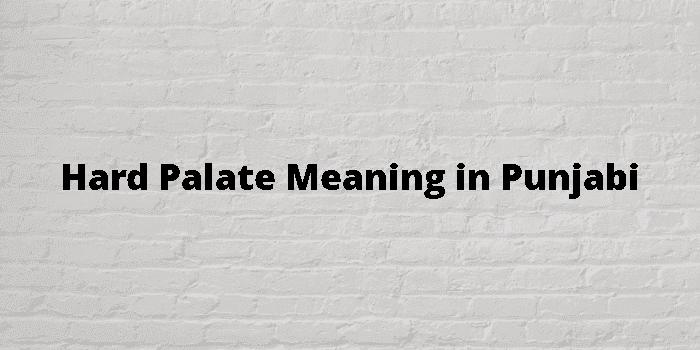 hard palate