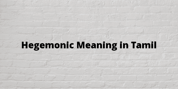 hegemonic