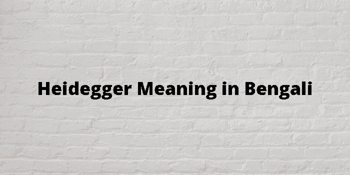 heidegger