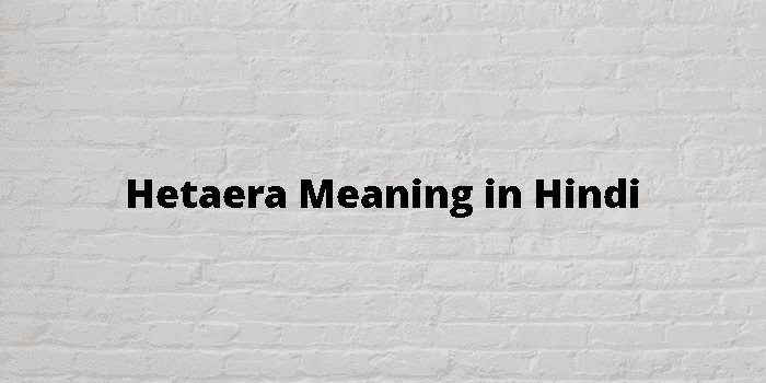 hetaera