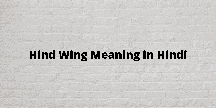 hind wing