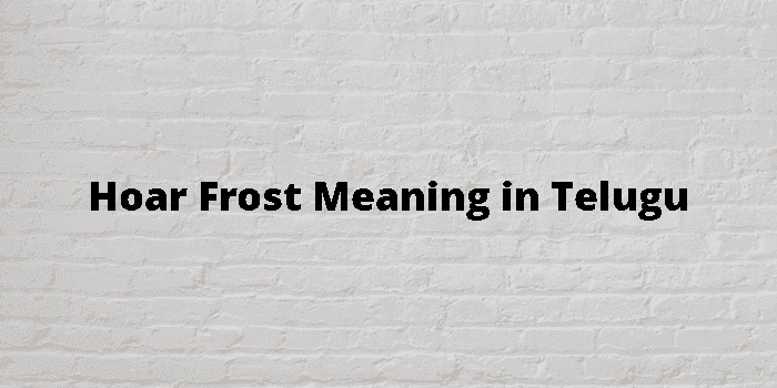 hoar frost