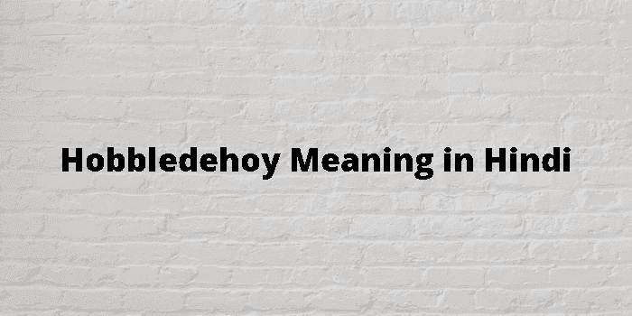 hobbledehoy